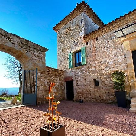 Domaine De Lejos - Portes D'Albi Lamillarié Eksteriør billede