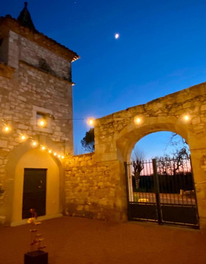 Domaine De Lejos - Portes D'Albi Lamillarié Eksteriør billede