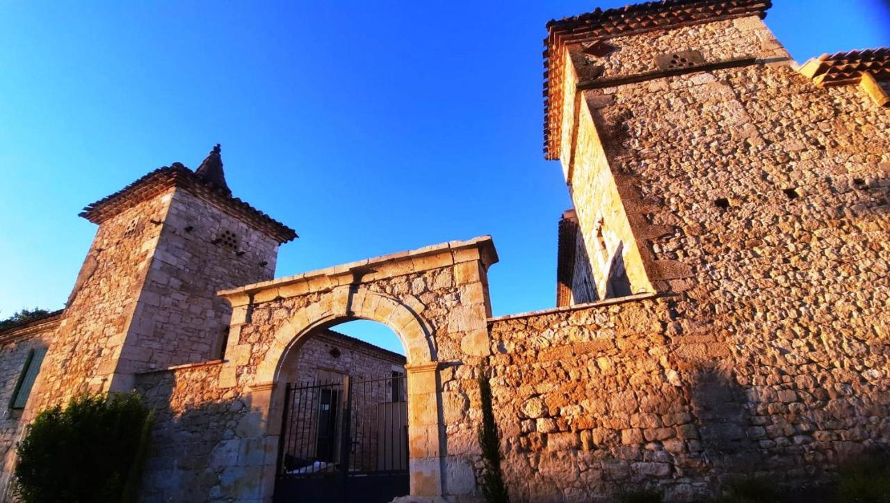 Domaine De Lejos - Portes D'Albi Lamillarié Eksteriør billede