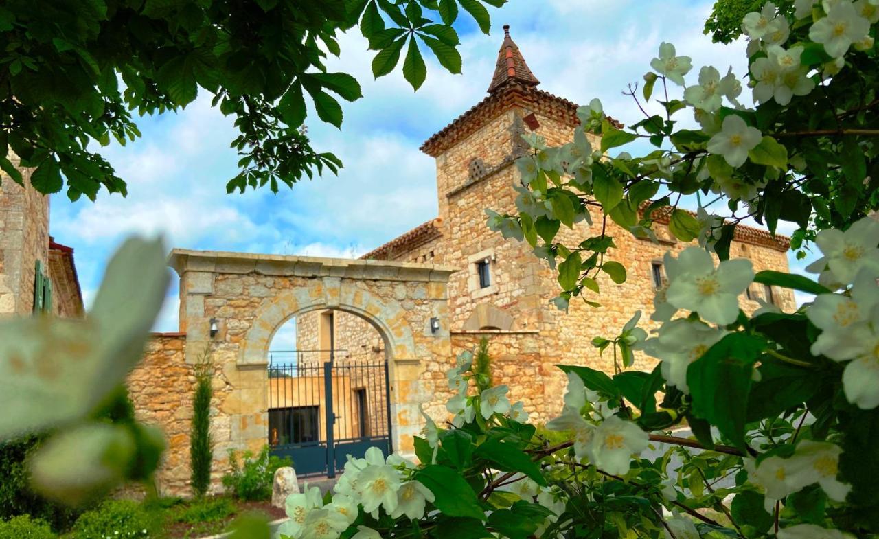 Domaine De Lejos - Portes D'Albi Lamillarié Eksteriør billede