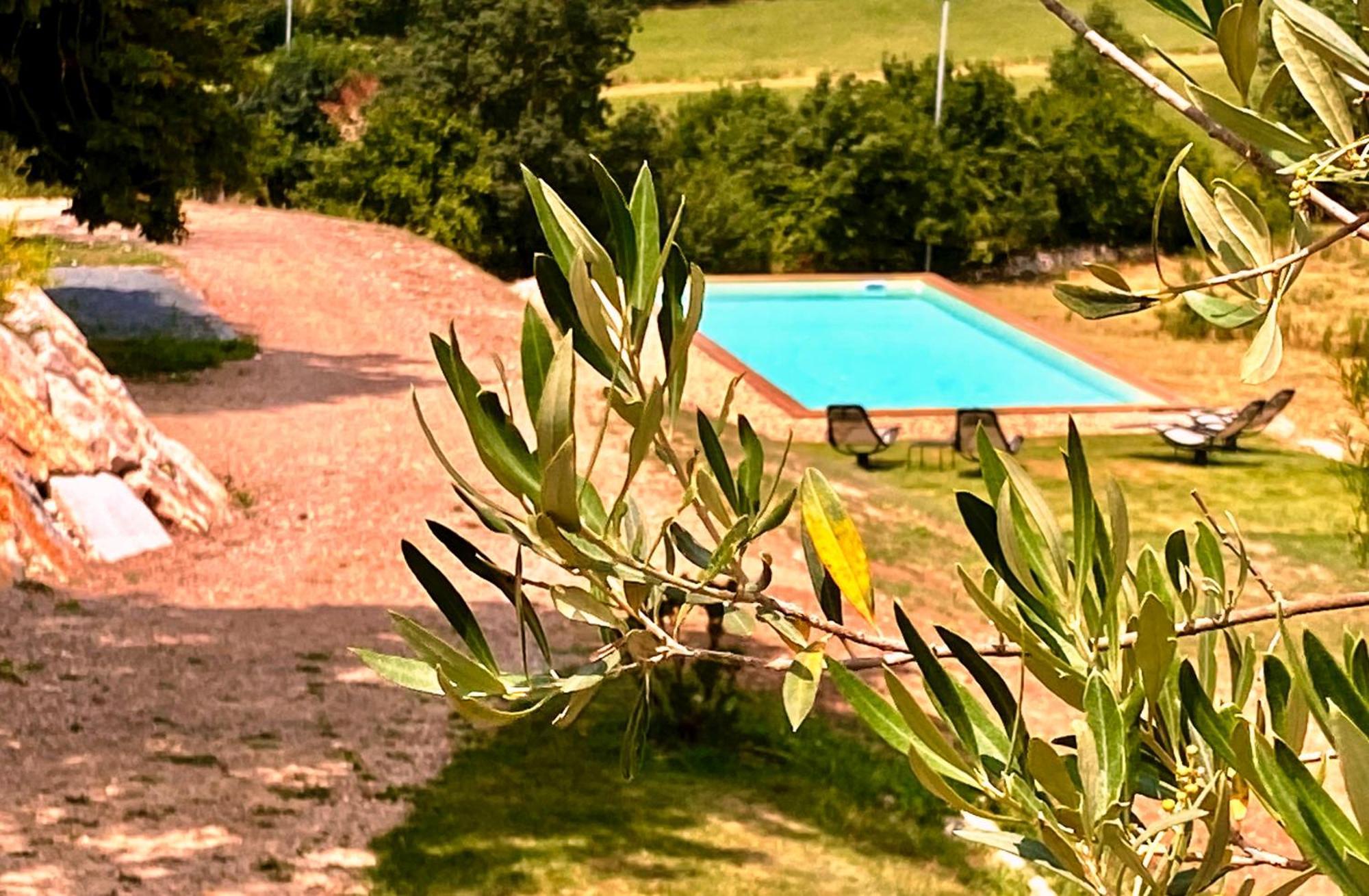 Domaine De Lejos - Portes D'Albi Lamillarié Eksteriør billede