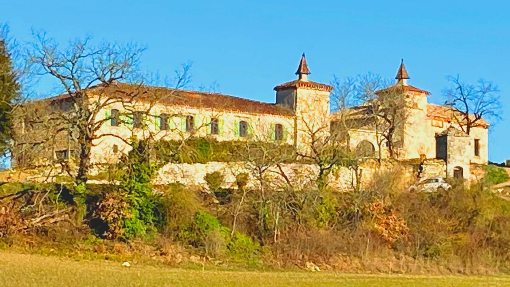 Domaine De Lejos - Portes D'Albi Lamillarié Eksteriør billede